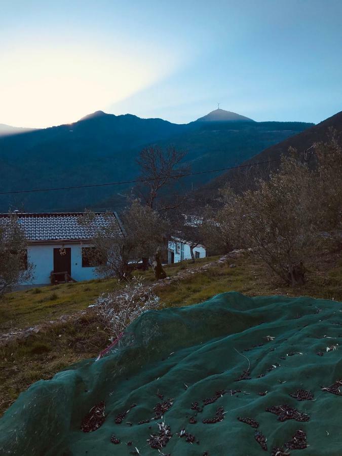 Hostal "Casa Da Russa" Mountain Experience Vila Real Exterior foto